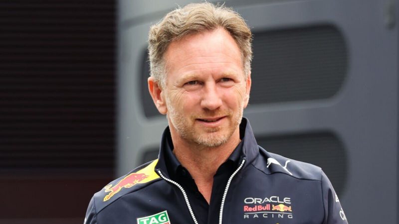 Horner FIA Red Bull